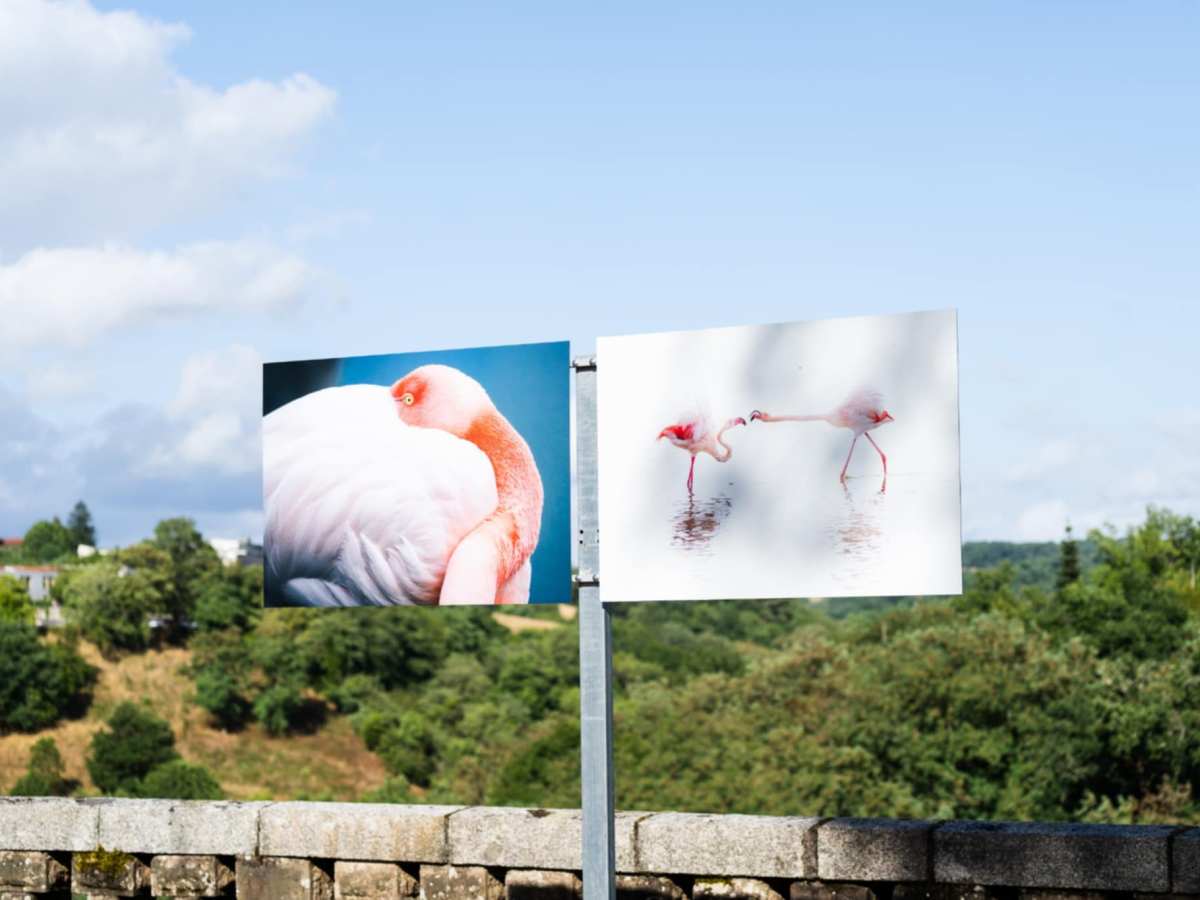 Retour sur l&rsquo;inauguration des EPN&nbsp;2025